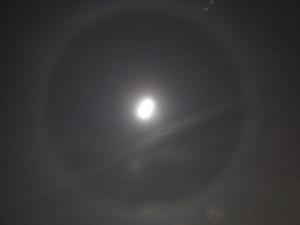 Interesting “Moon Halo” [Pictures provided] Here you go nannee... Img_0143