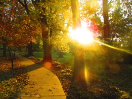 A Fall Day Walk - Photo by PocahontasBrandy.