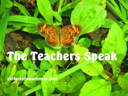 The Teachers Speak (KEEP)