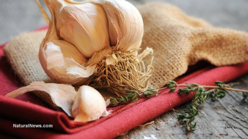 close-up-garlic-herbs