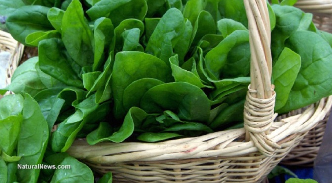 Fresh-Spinach-Basket