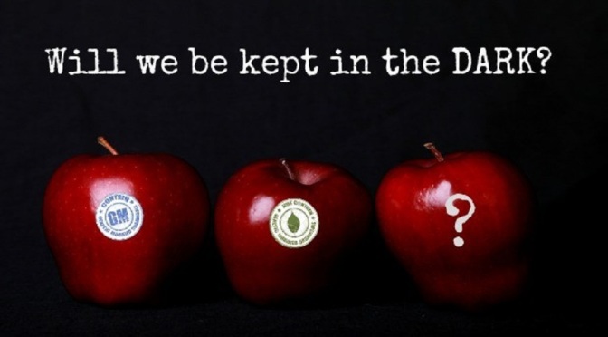 apples-GMO-DARK-Act-620x360