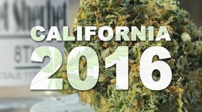 image-marijuana-california-735-350