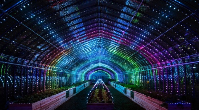 Tokyo Greenhouse Turns Into A Psychedelic Experience When Plants Are Touched [Photos]
