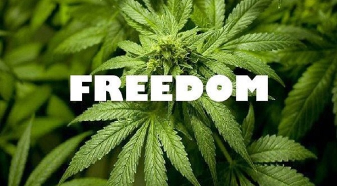 Stand Up for Cannabis – Stand Up for Freedom! Stand-up-for-cannabis-stand-up-for-freedom-1