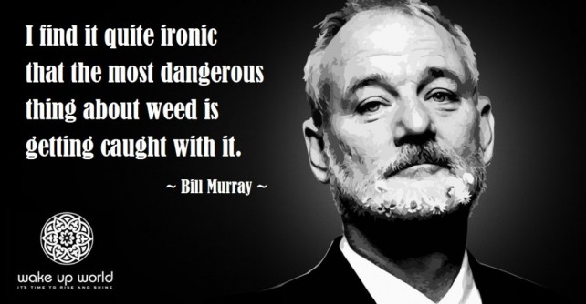 Stand Up for Cannabis – Stand Up for Freedom! Stand-up-for-cannabis-stand-up-for-freedom-bill-murray-ironic-most-dangerous-thing-about-weed-is-getting-caught-1024x534
